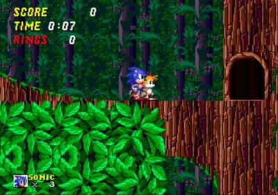 Sonic the Hedgehog 2 (1992), A Gamer's Cheat Codes Wiki