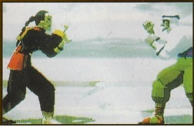 Virtua-Fighter-Siba-Shiba.jpg