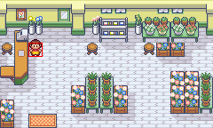 pkmnbetaflowershop