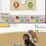 NintendogsBeta1.jpg