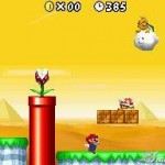 new-super-mario-bros-20060313032400685