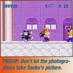 socks_the_cat_photogs