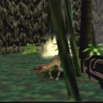 turok22