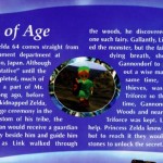 Zelda Wind Waker beta plot coming of age
