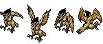 spriteoiseau-fullgif.jpg