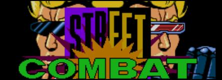 Unseen Changes: Ranma VS Street Combat