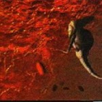 parasite-psx-gp-scan-08