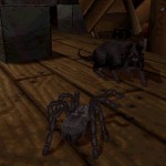tarantula-scavenger-game-cancelled-1