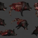 boar2