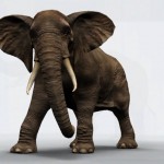 elephant2