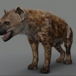 hyena2