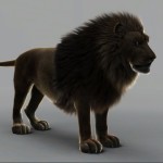 lion3