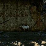 snapshot-31