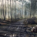 project-jelena-crytek-4