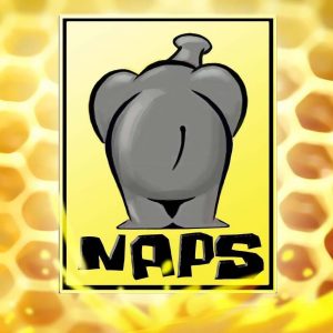 naps-team-videogames-logo