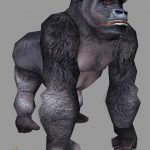 Gorilla